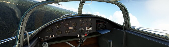 Microsoft Flight Simulator 12_15_2022 10_01_51 PM