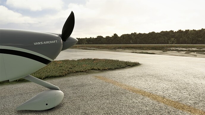Microsoft Flight Simulator Screenshot 2022.03.16 - 17.10.26.28