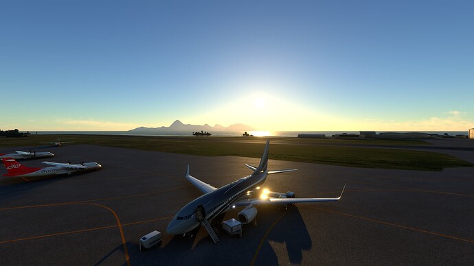 Microsoft Flight Simulator 7_20_2023 8_03_26 PM