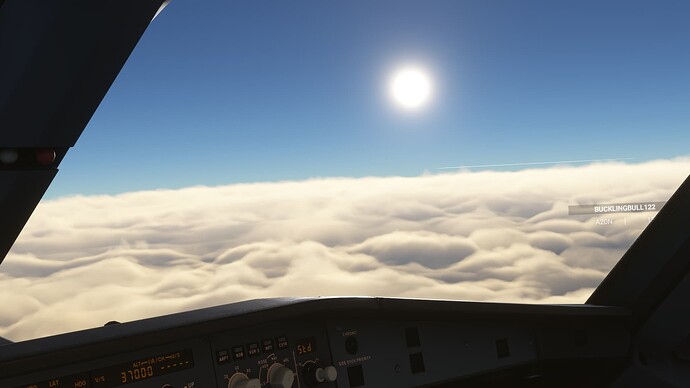 Microsoft Flight Simulator 1_01_2024 15_22_09