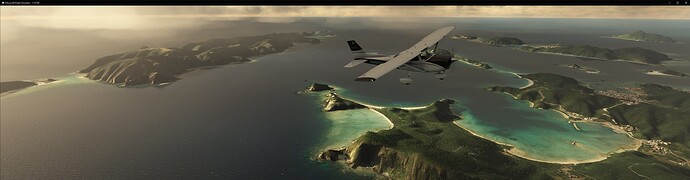 Microsoft Flight Simulator 22-3-2024 23_34_34 (1)