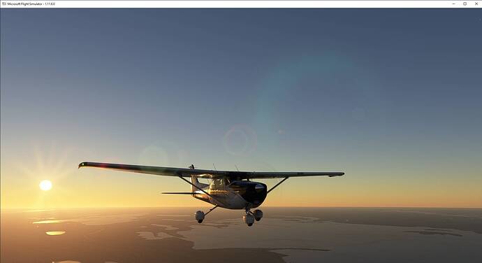 Microsoft Flight Simulator 2020-11-29 12_06_20 AM