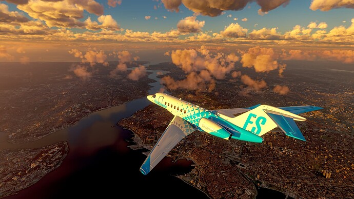 Microsoft Flight Simulator Screenshot 2024.03.29 - 02.12.19.64