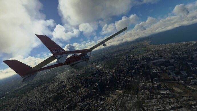 Microsoft Flight Simulator 31_01_2022 19_18_01