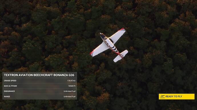 Microsoft Flight Simulator 30.07.2021 20_23_40
