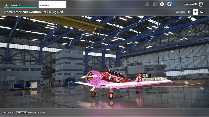 Microsoft Flight Simulator Screenshot 2023.03.11 - 15.44.41.80