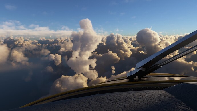 Microsoft Flight Simulator Screenshot 2022.01.22 - 20.48.41.34