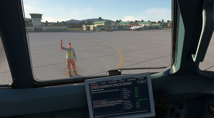 2024-06-25 14_37_19-Microsoft Flight Simulator - 1.37.19.0