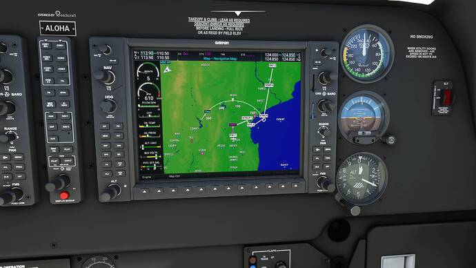 Microsoft Flight Simulator Screenshot 2021.08.30 - 14.51.21.76