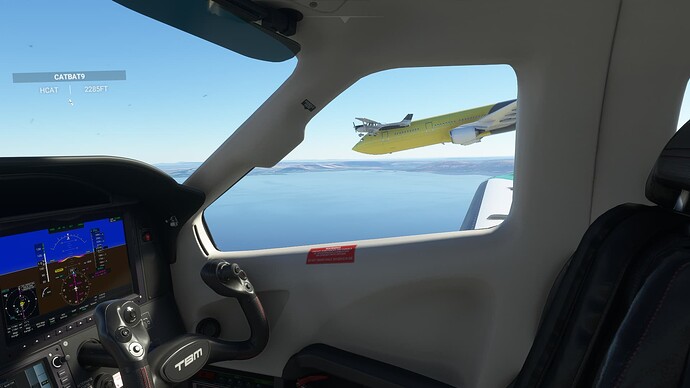 Microsoft Flight Simulator 17_03_2023 20_26_28