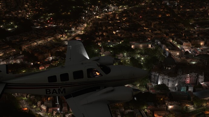 Microsoft Flight Simulator Screenshot 2022.01.19 - 21.49.00.59