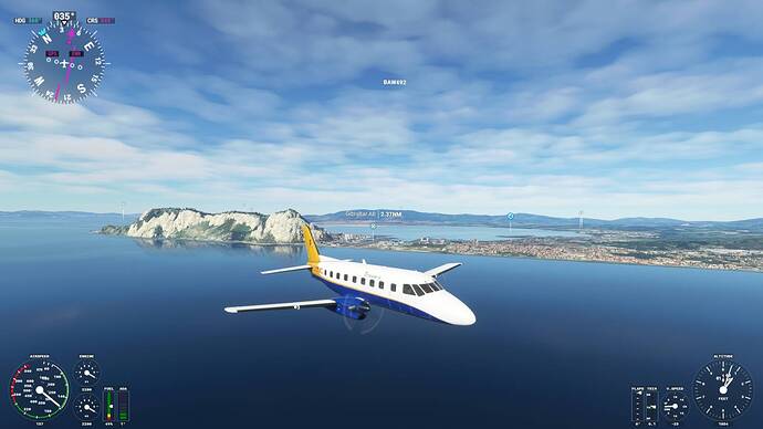 Microsoft Flight Simulator 8_12_2021 1_51_09 AM