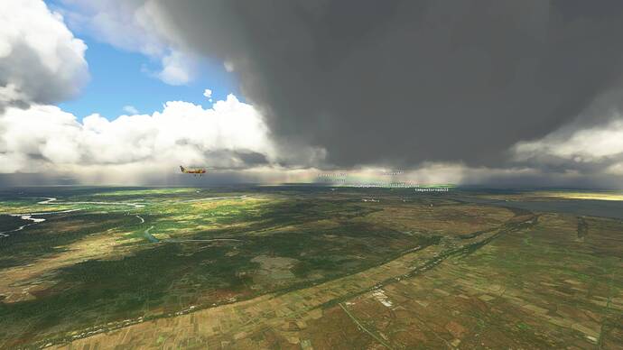 Microsoft Flight Simulator 8_2_2021 11_48_59 AM