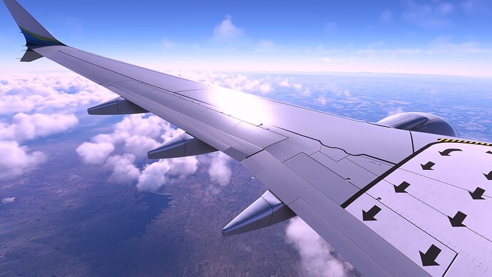 Microsoft Flight Simulator 1_1_2025 3_40_14 PM