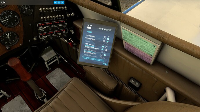 Microsoft Flight Simulator 23_01_2022 13_38_40