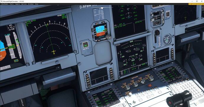 Microsoft Flight Simulator 2021-08-04 1_38_59 PM