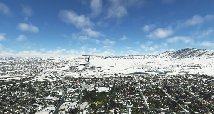 Microsoft Flight Simulator 2_13_2023 10_55_58 AM