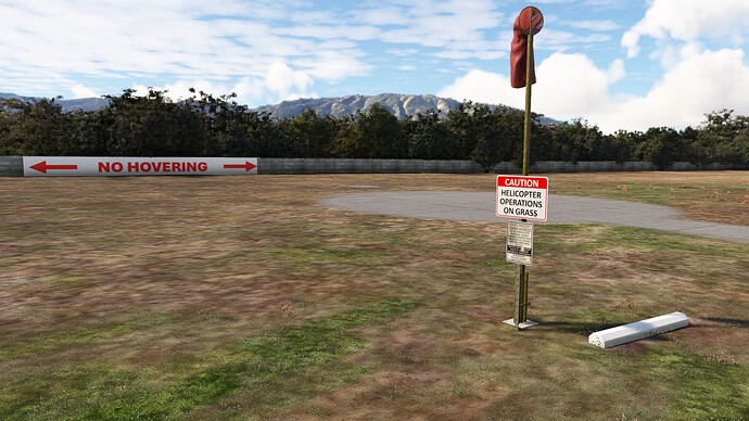 Microsoft Flight Simulator Screenshot 2024.03.31 - 10.09.23.96