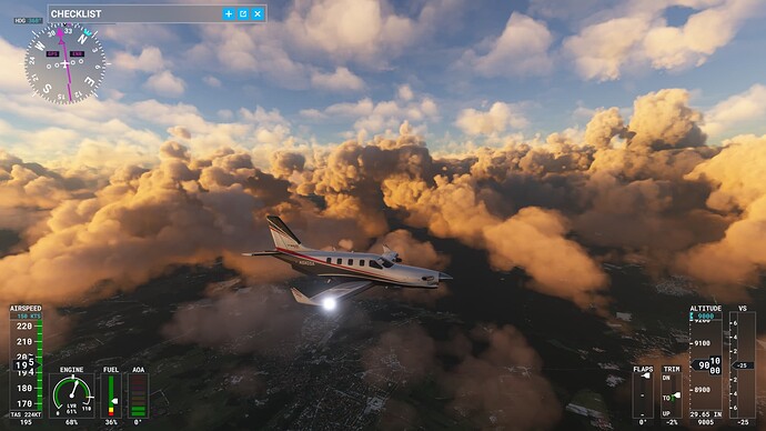 Microsoft Flight Simulator 1_8_2022 4_33_02 PM