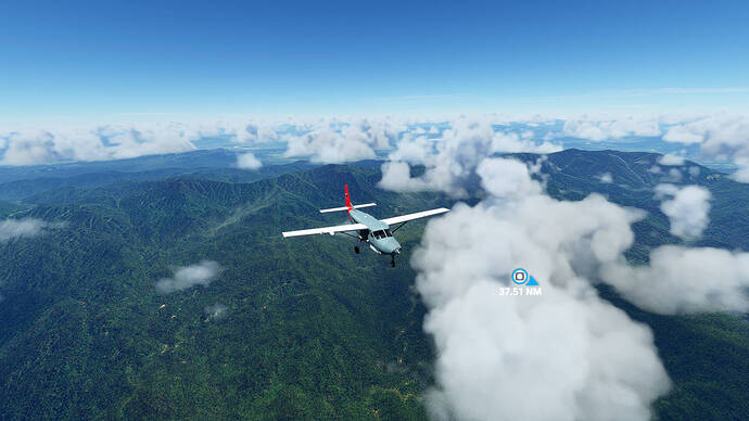 Microsoft Flight Simulator 5_17_2021 2_44_49 PM
