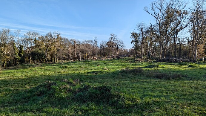 Research trip to Worlebury Hillfort in Weston-Super-Mare