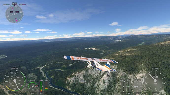 Microsoft Flight Simulator-2024_02_28-03_13_09