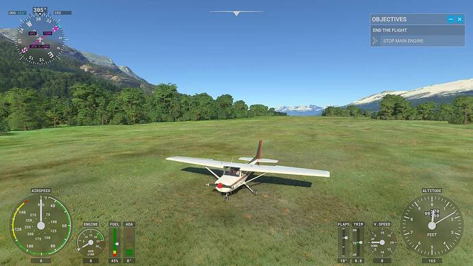 Microsoft Flight Simulator