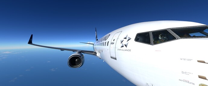 Microsoft_Flight_Simulator_18_07_2023_23_31_48