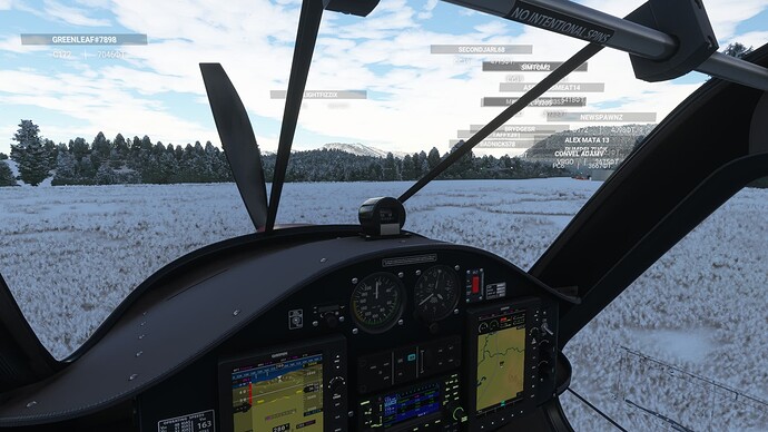 Microsoft Flight Simulator 08.01.2022 0_11_10