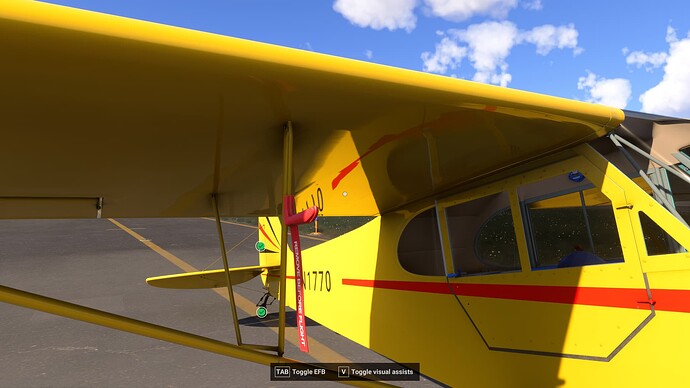Cap-4 Paulistinha Bug 5