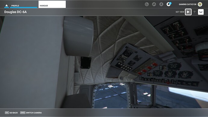 Microsoft Flight Simulator - 1.26.5.0 7_3_2022 1_49_31 PM