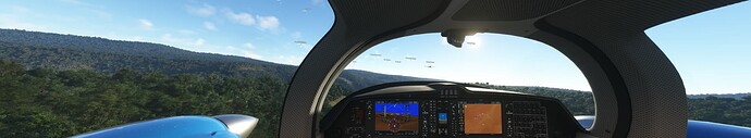Microsoft Flight Simulator 1_13_2022 3_39_42 PM