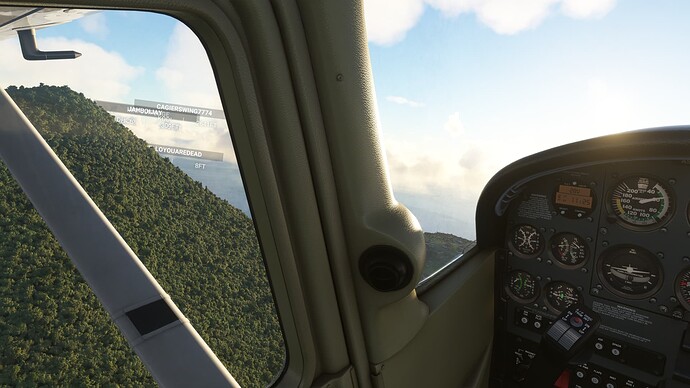 Microsoft Flight Simulator 2_3_2022 10_21_15 AM