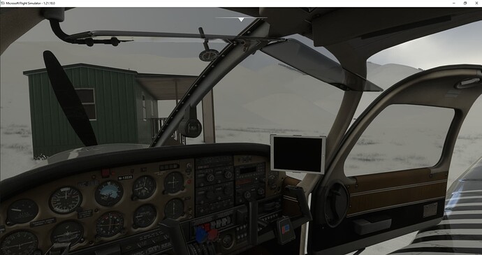 Microsoft Flight Simulator 06.01.2022 23_07_57