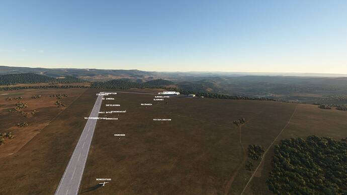 Microsoft Flight Simulator - 1.17.3.0 01.07.2021 22_06_43