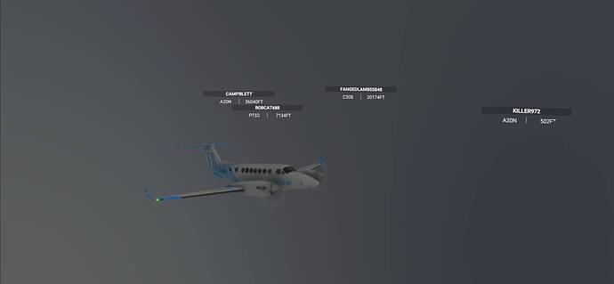 Microsoft Flight Simulator 10_5_2021 12_57_39 PM