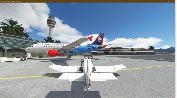 FlightSimulator_h38Ksxf55v