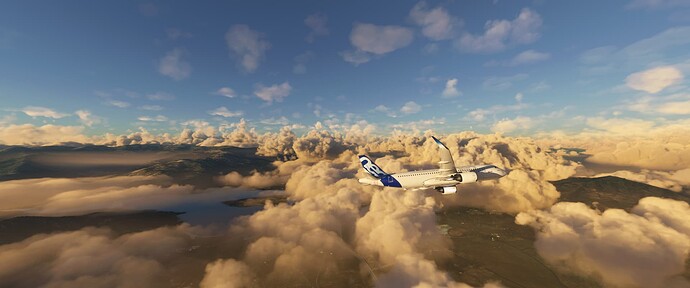 Microsoft Flight Simulator_2021.11.22-17.43