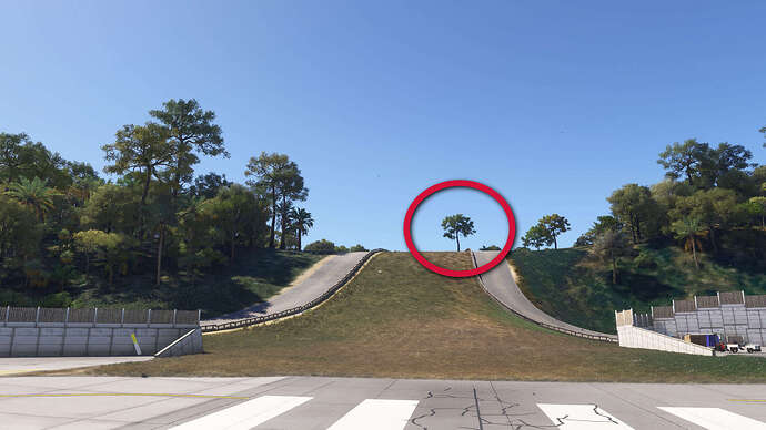 FS2024 2025-02-06 048