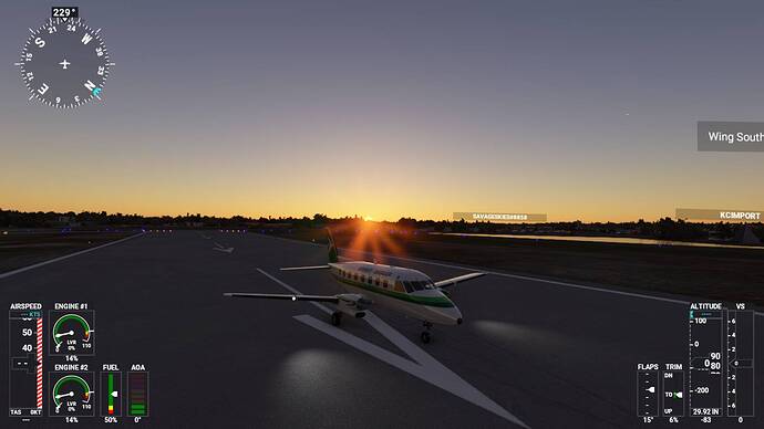 Microsoft Flight Simulator 5_6_2021 3_52_05 AM