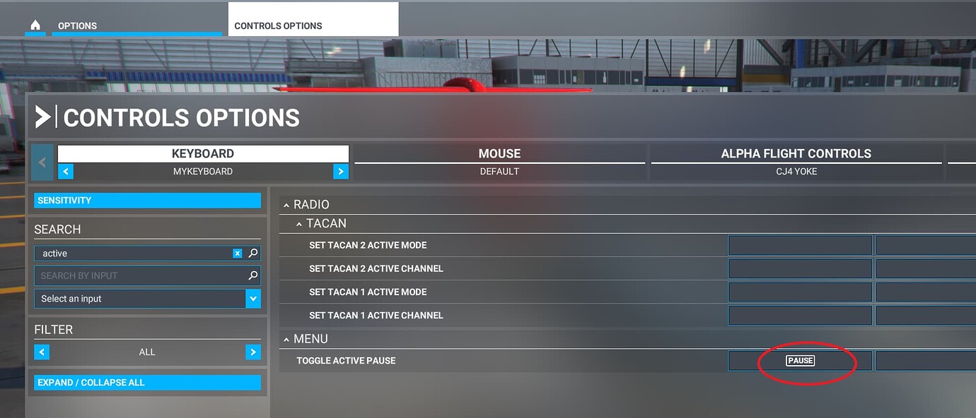 Keyboard Stroke Active Pause - General Discussion - Microsoft Flight ...