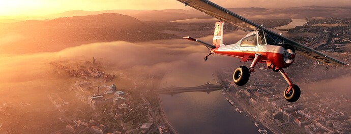 Microsoft Flight Simulator Screenshot 2023.07.29 - 00.25.22.31