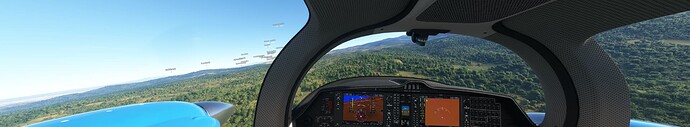 Microsoft Flight Simulator 1_13_2022 4_25_43 PM