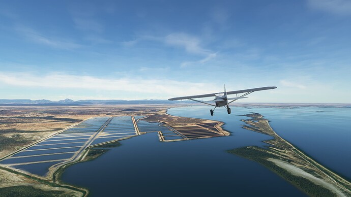 Microsoft Flight Simulator Screenshot 2022.08.13 - 07.36.52.94