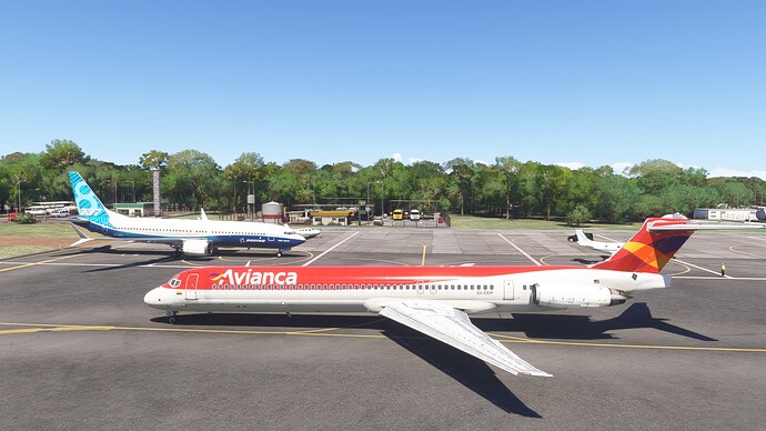 Microsoft Flight Simulator 2024 14_03_2025 9_11_28 AM (1)