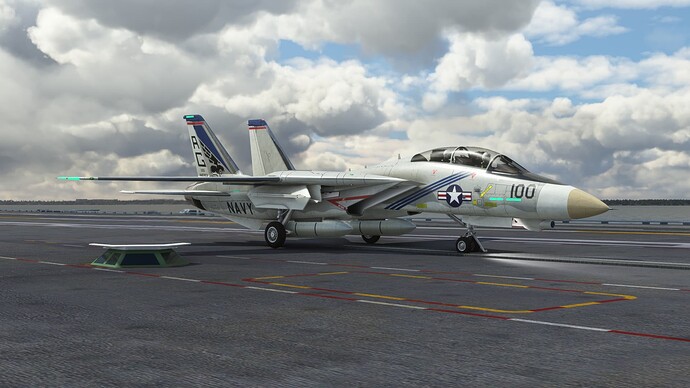 F-14A Tomcat 02