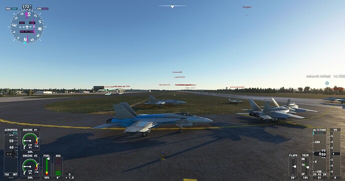 Microsoft Flight Simulator Screenshot 2021.11.19 - 20.47.16.70
