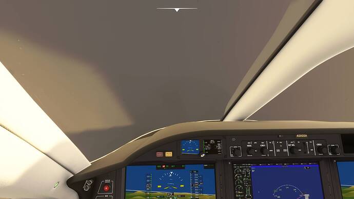 Microsoft Flight Simulator 29_07_2021 0_47_32