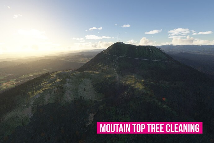 tree fix msfs france south18