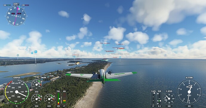 Microsoft Flight Simulator Screenshot 2022.02.04 - 21.40.19.15